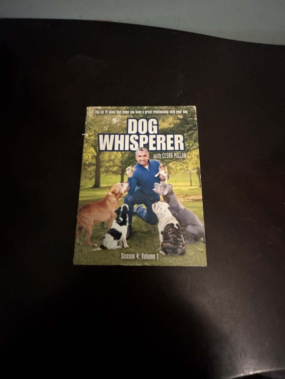 National Geographic Dog Whisperer with Cesar Millan Season 4 Volume 1 DVD